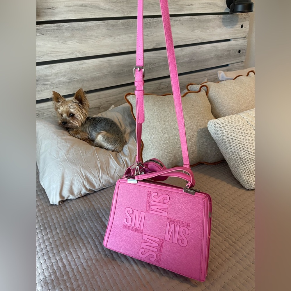 Steve Madden purse